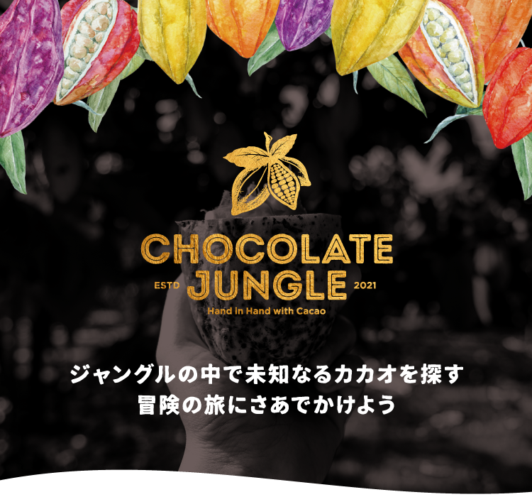 CHOCOLATE JUNGLE｜ジャングルの中で未知なるカカオを探す冒険のたびにさあでかけよう